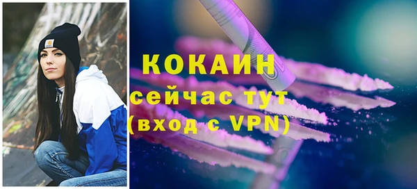 ПСИЛОЦИБИНОВЫЕ ГРИБЫ Белокуриха