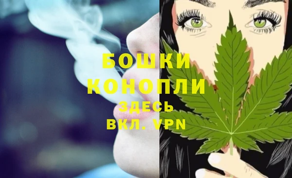 прущая мука Бородино
