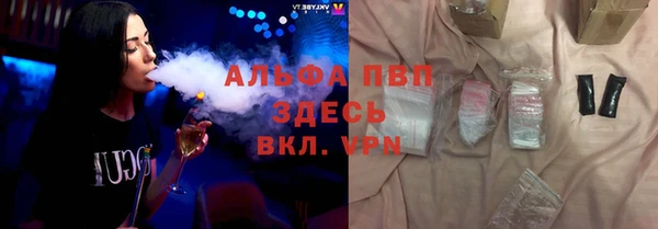 ПСИЛОЦИБИНОВЫЕ ГРИБЫ Белокуриха