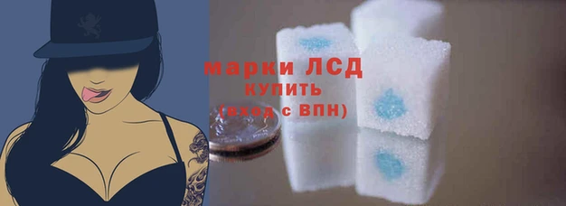 стаф Белоозёрский