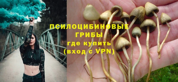 стафф Беломорск