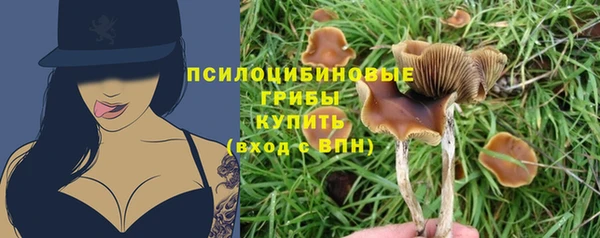 ПСИЛОЦИБИНОВЫЕ ГРИБЫ Белокуриха