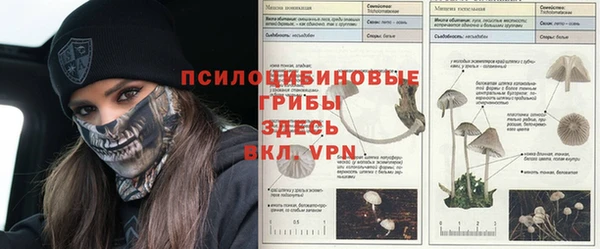 стафф Беломорск