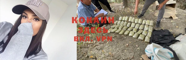 эйфоретик Кущёвская
