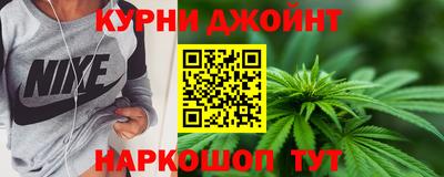 сатива Кингисепп