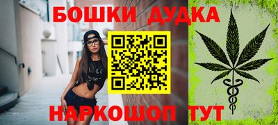 сатива Кингисепп