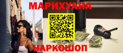 сатива Кингисепп