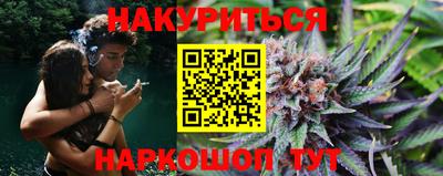 сатива Кингисепп