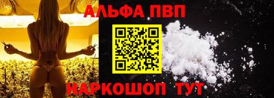 сатива Кингисепп