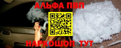 сатива Кингисепп