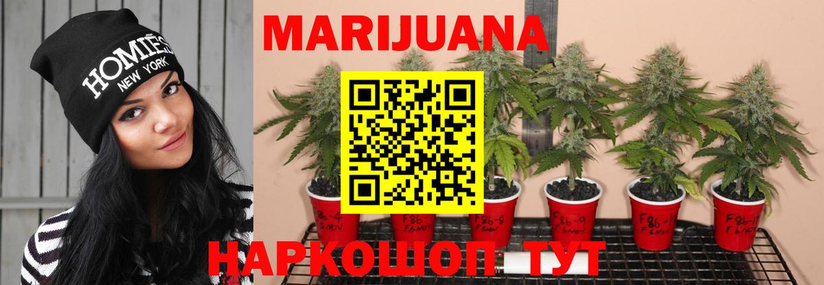 Малоярославец  Бошки Шишки сатива  Канабис план  Вход с VPN 